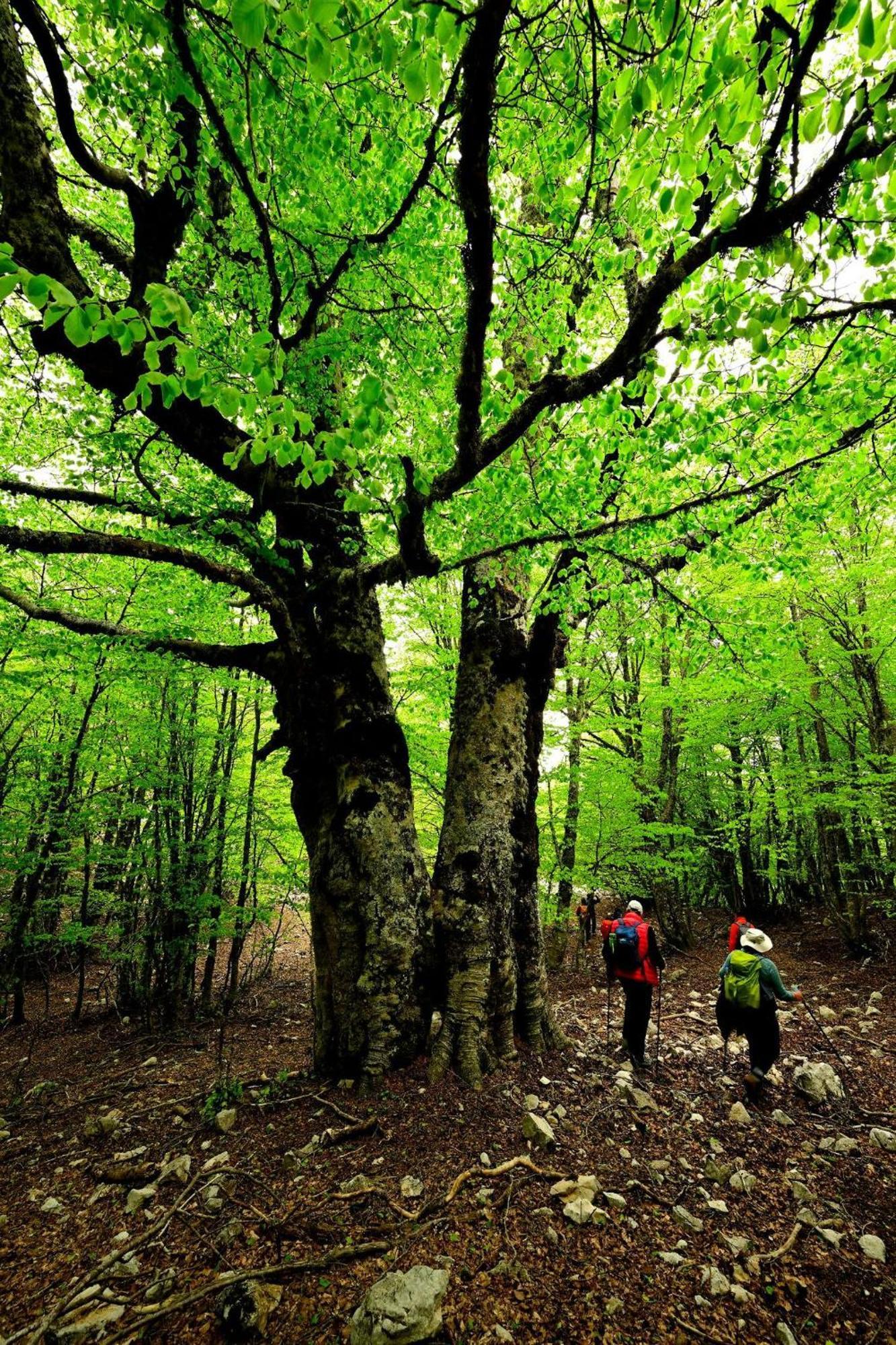 Mandra Chiusilla Villa Collesano Екстериор снимка